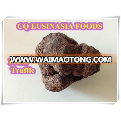 new crop 4-8cm fresh black tuber indicum truffle