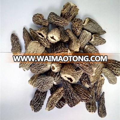 Price of Dried Morchella Conica Mushroom