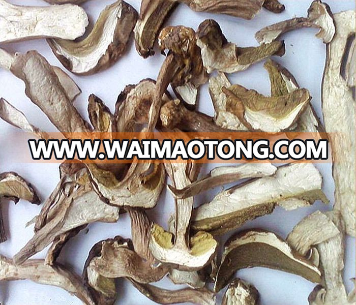 2017 Wholesale frozen dried boletus edulis , dried porcini mushroom