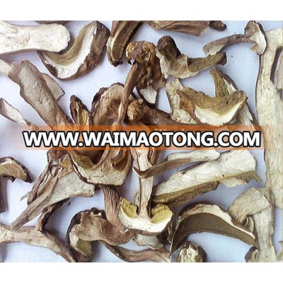 dried boletus mushroom for sale(A B C D)