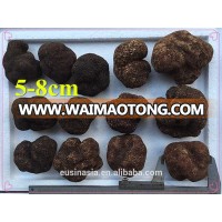 5-8cm fresh tuber indicum frozen truffle