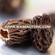 factory price of dehydrated morel morchella mushroom