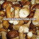 factory price of boletus edulis