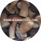 wholesale price IQF raw wild boletus edulis whole