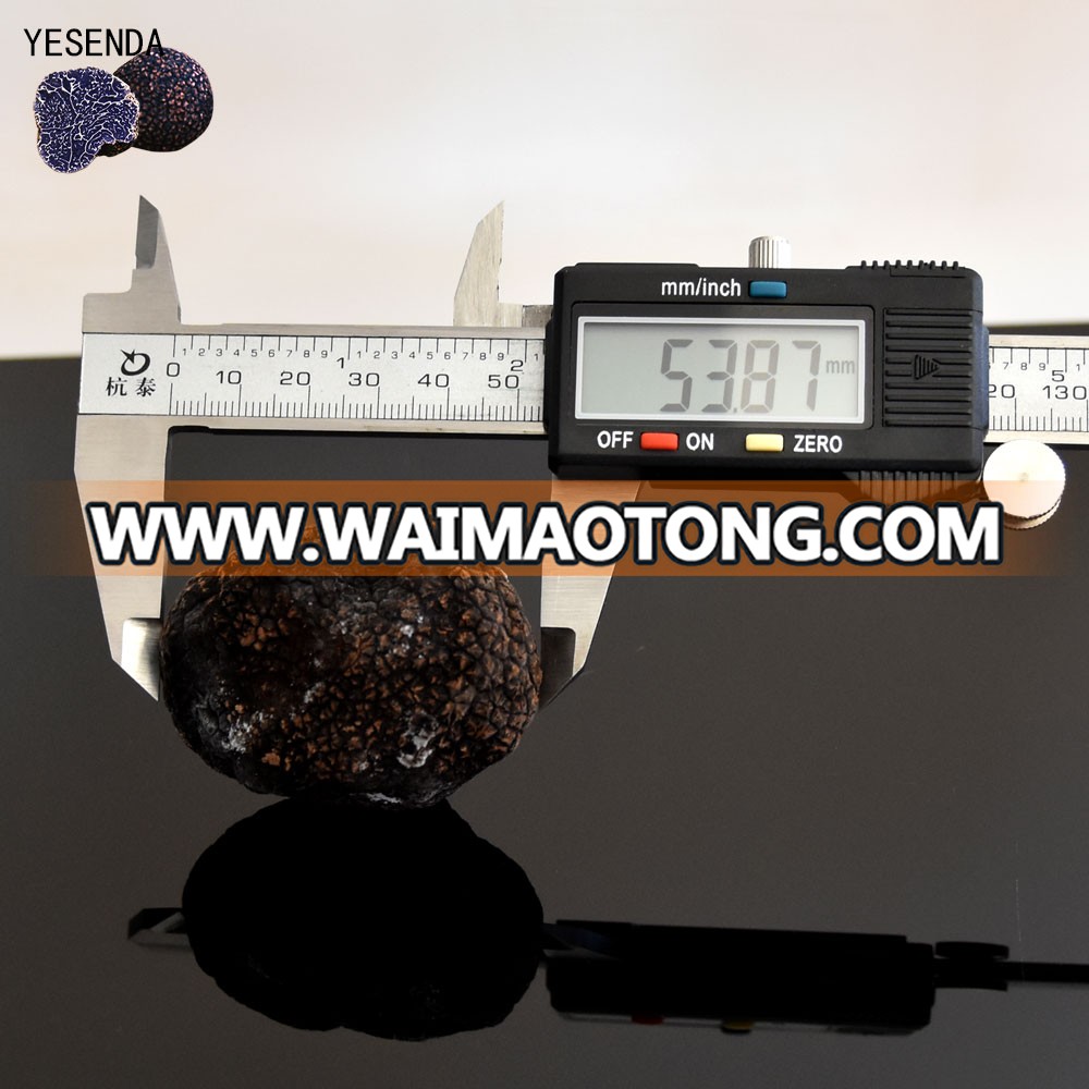 new crop 3-5cm black tuber indicum truffle